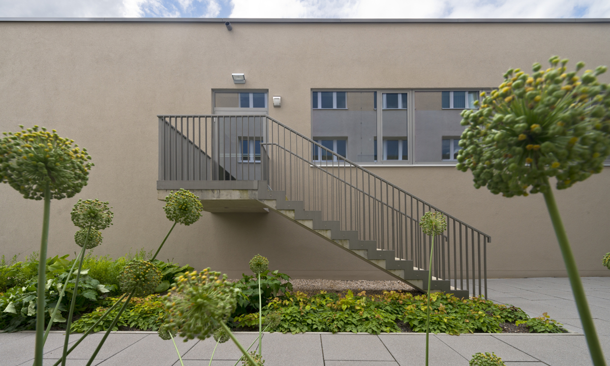 Juni Copyright Michael Miltzow 8672.jpg